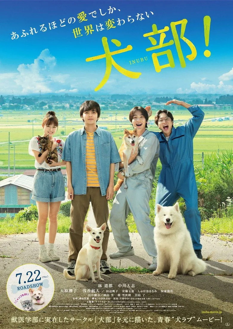 Credit poster