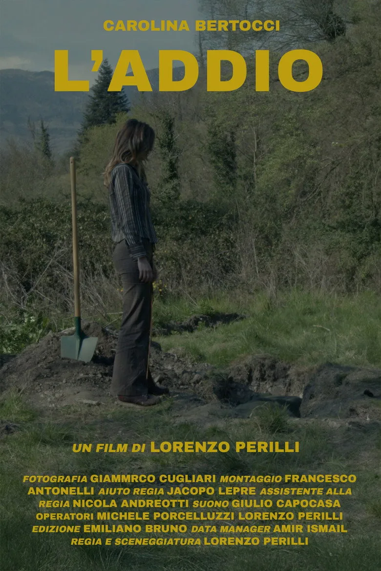L'addio poster