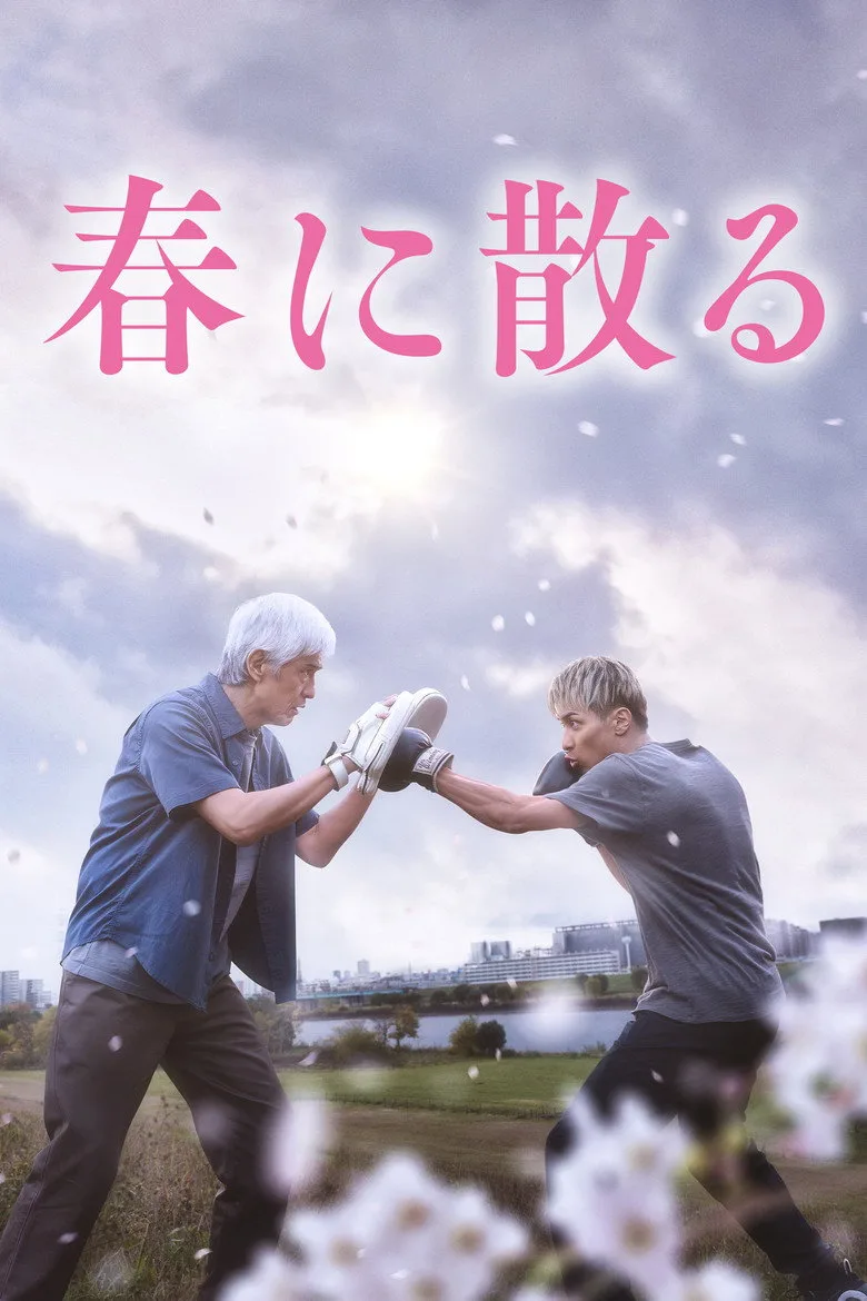 Credit poster