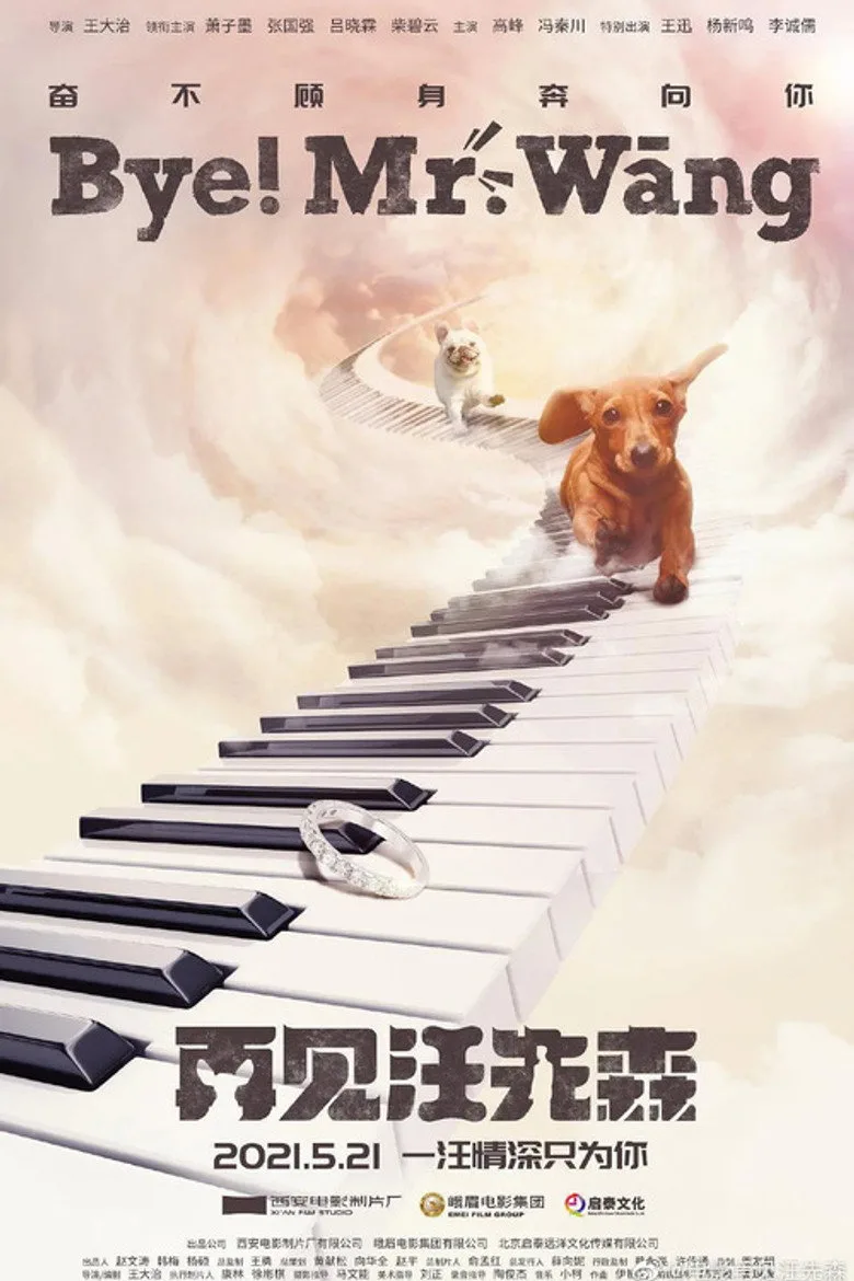 Credit poster