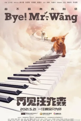 Постер Bye, Mr Wang!