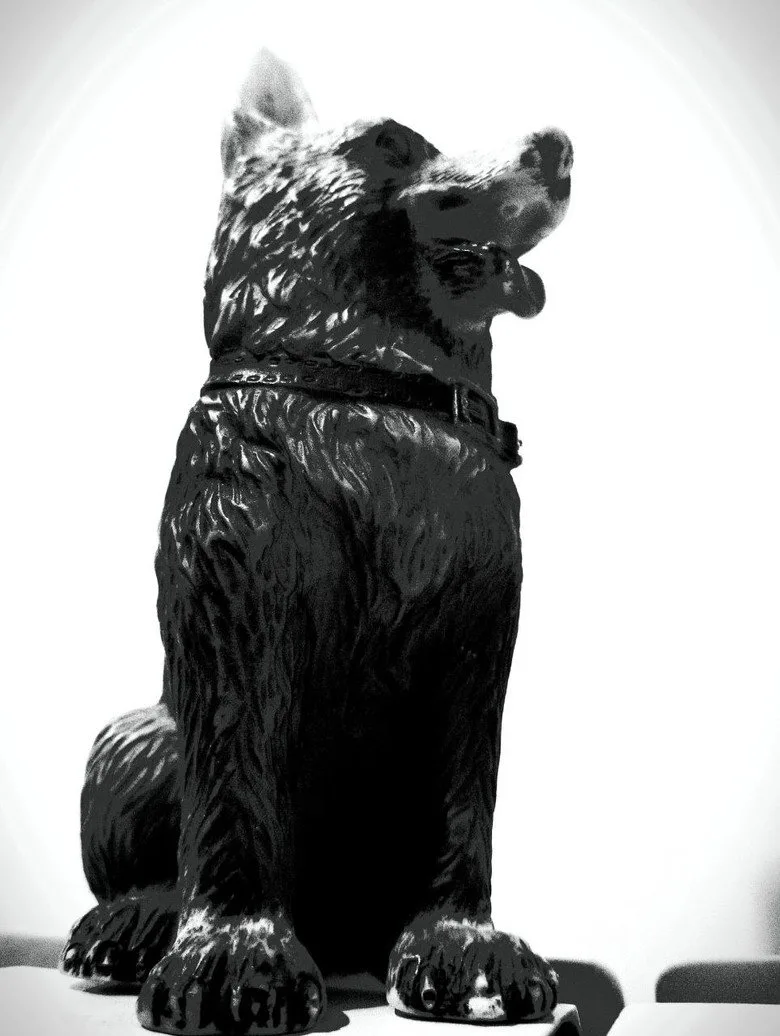 The Dog of Sarandi Alley posteri