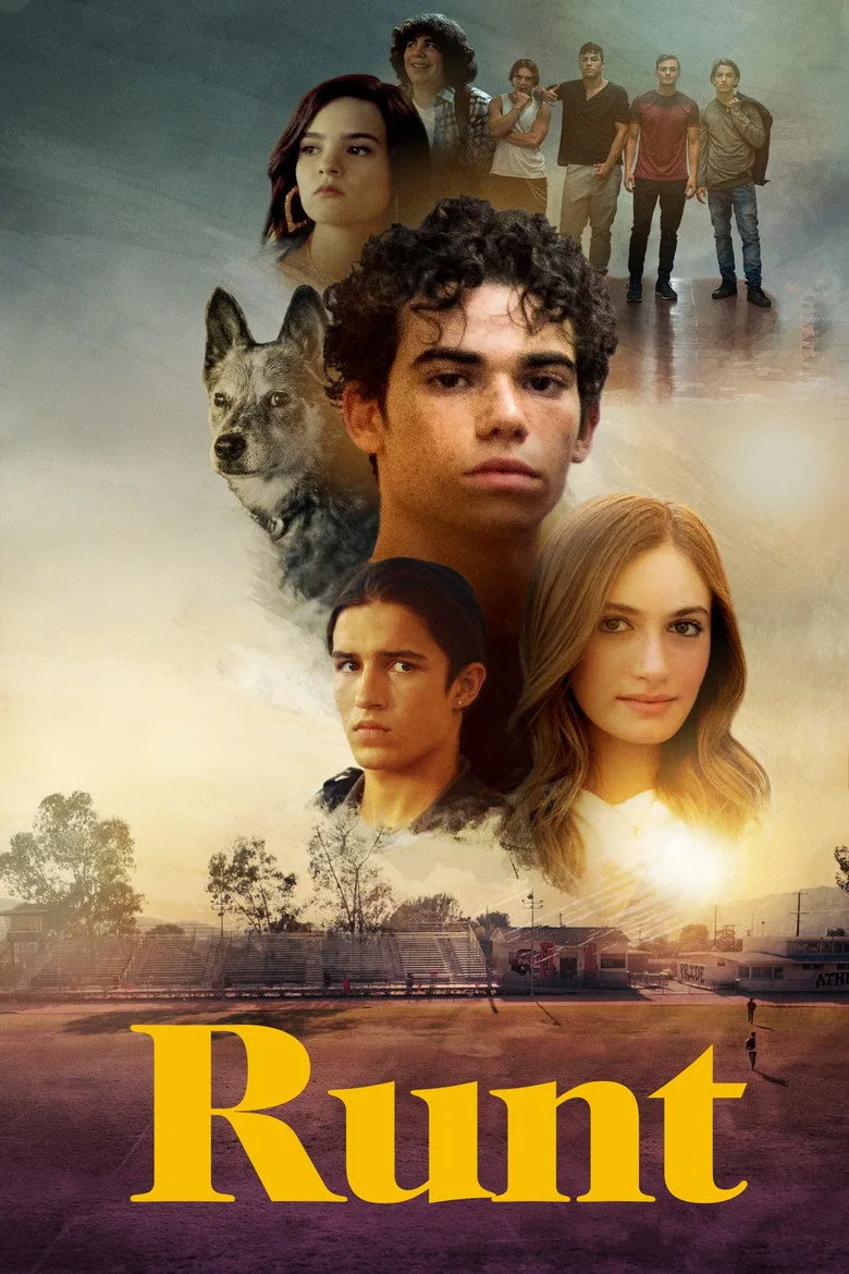 Credit poster