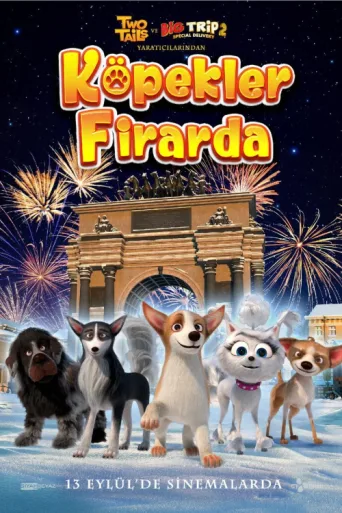 Póster de Köpekler Firarda