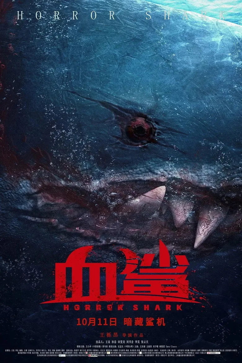 Credit poster