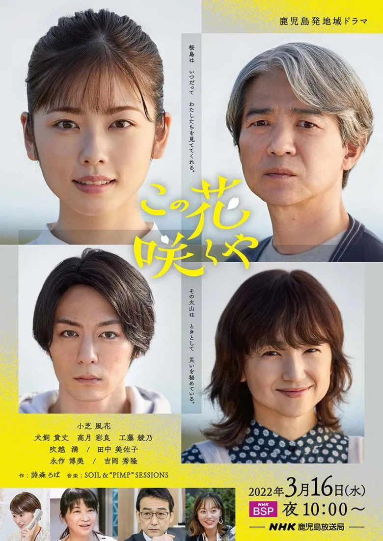 Credit poster