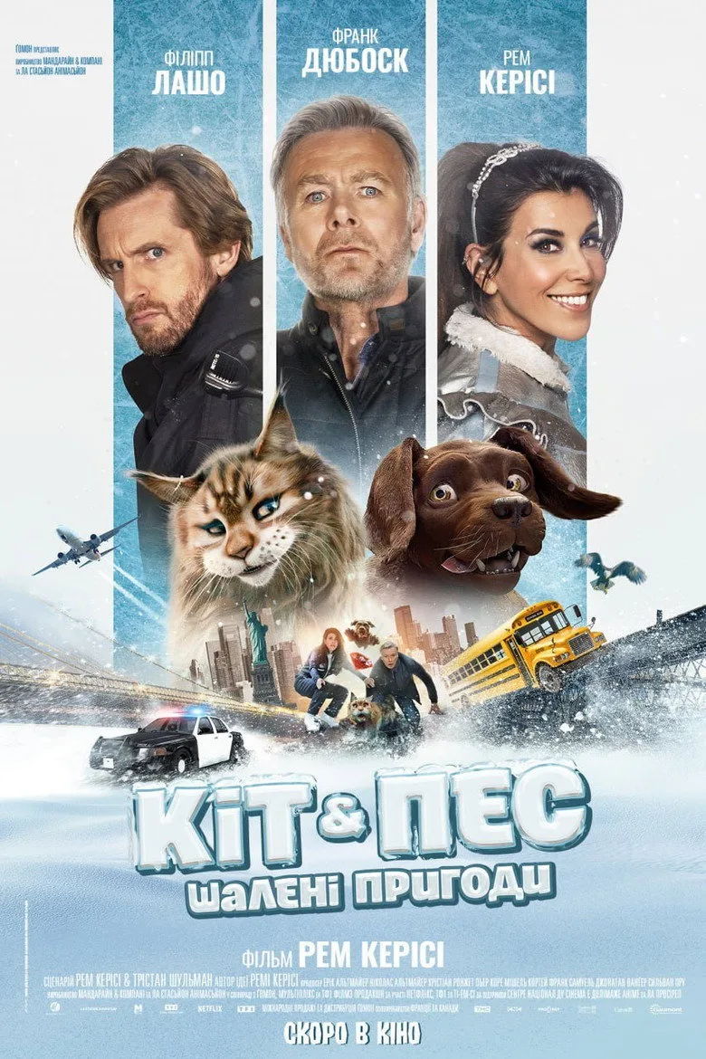 Credit poster