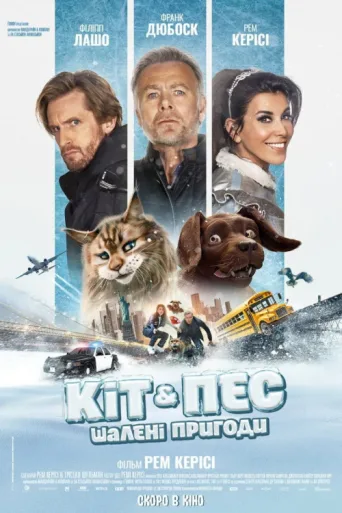 Постер Chien et Chat