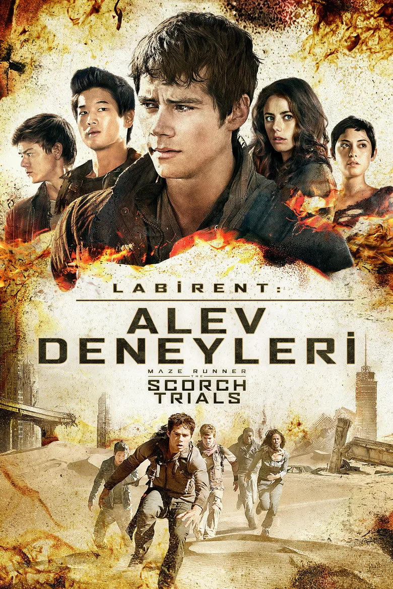 Credit poster
