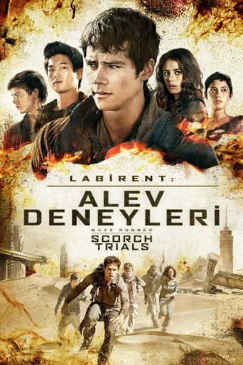 Poster for Labirent: Alev Deneyleri