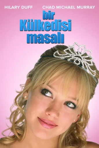 Постер Bir Külkedisi Masalı