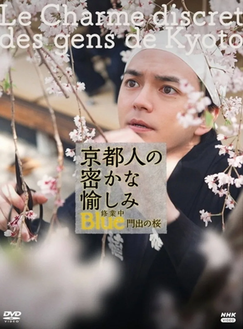 京都人の密かな愉しみBlue修業中 門出の桜 posteri