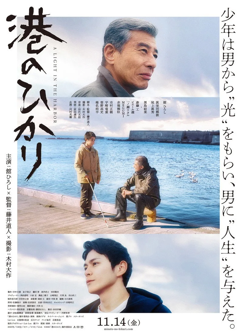 A Light in the Harbor posteri
