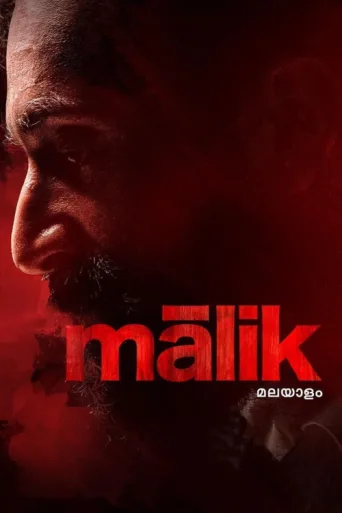 Póster de Malik
