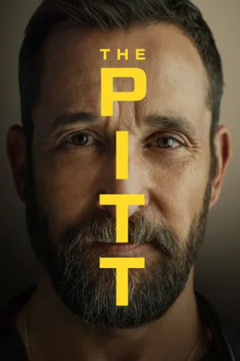 Постер The Pitt