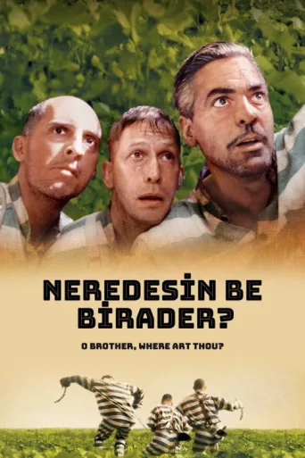 ملصق Neredesin Be Birader?