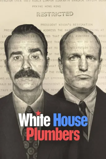 Постер White House Plumbers
