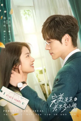 Poster for Perfect and Casual