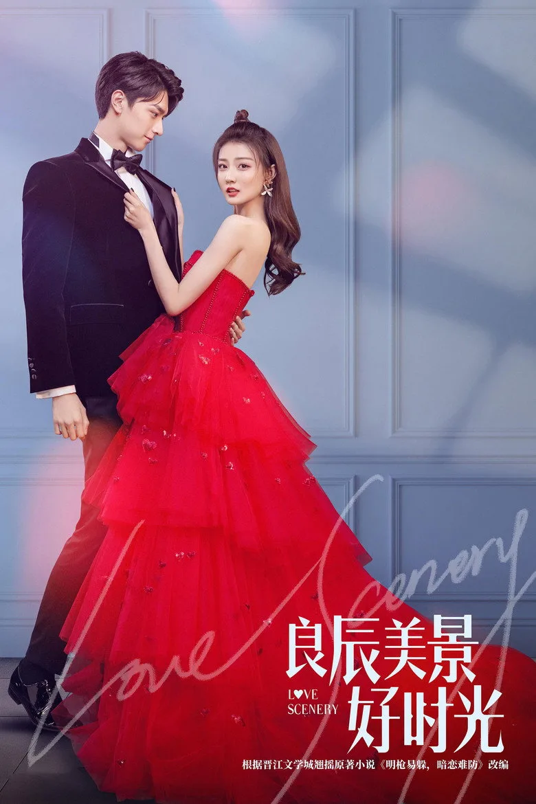 ملصق 良辰美景好时光