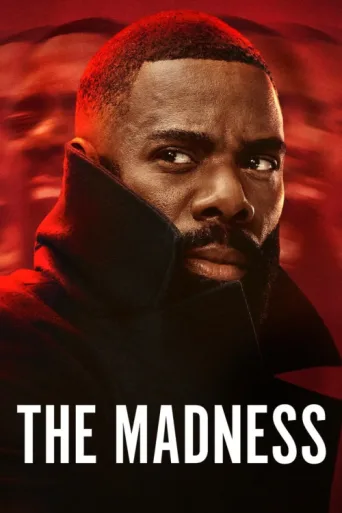 Постер The Madness