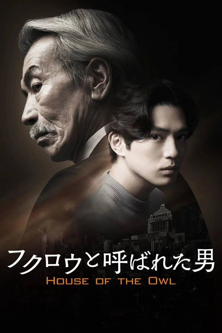 House of the Owl poster
