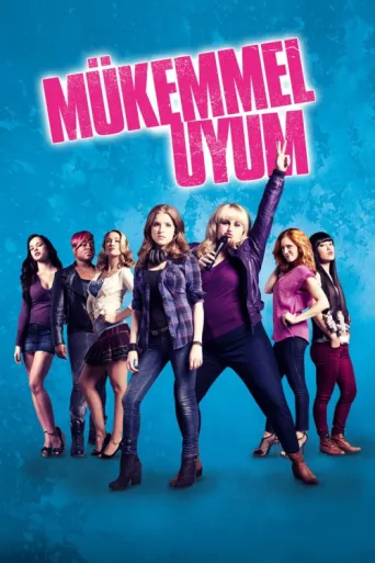Poster for Mükemmel Uyum