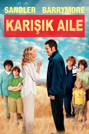 Póster de Blended
