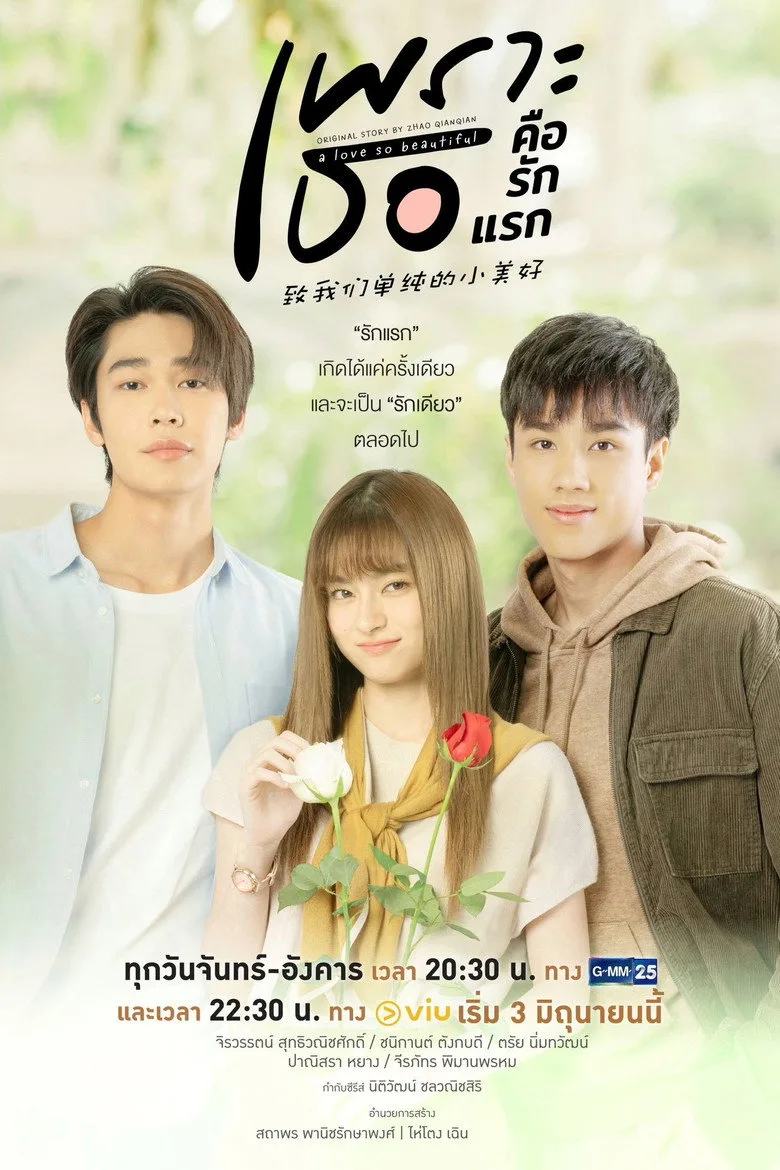 A Love So Beautiful poster