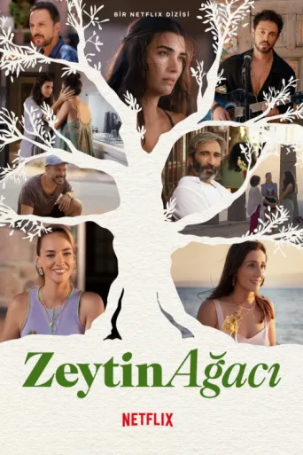 Póster de Zeytin Ağacı