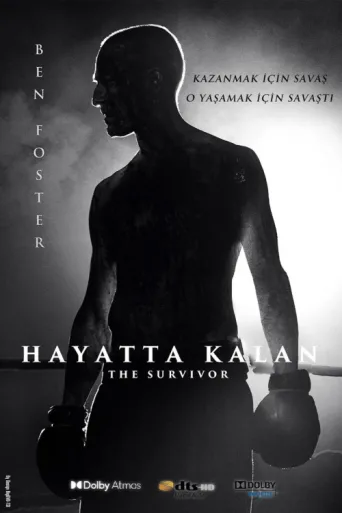 Постер Hayatta Kalan