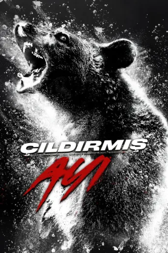 Постер Çıldırmış Ayı