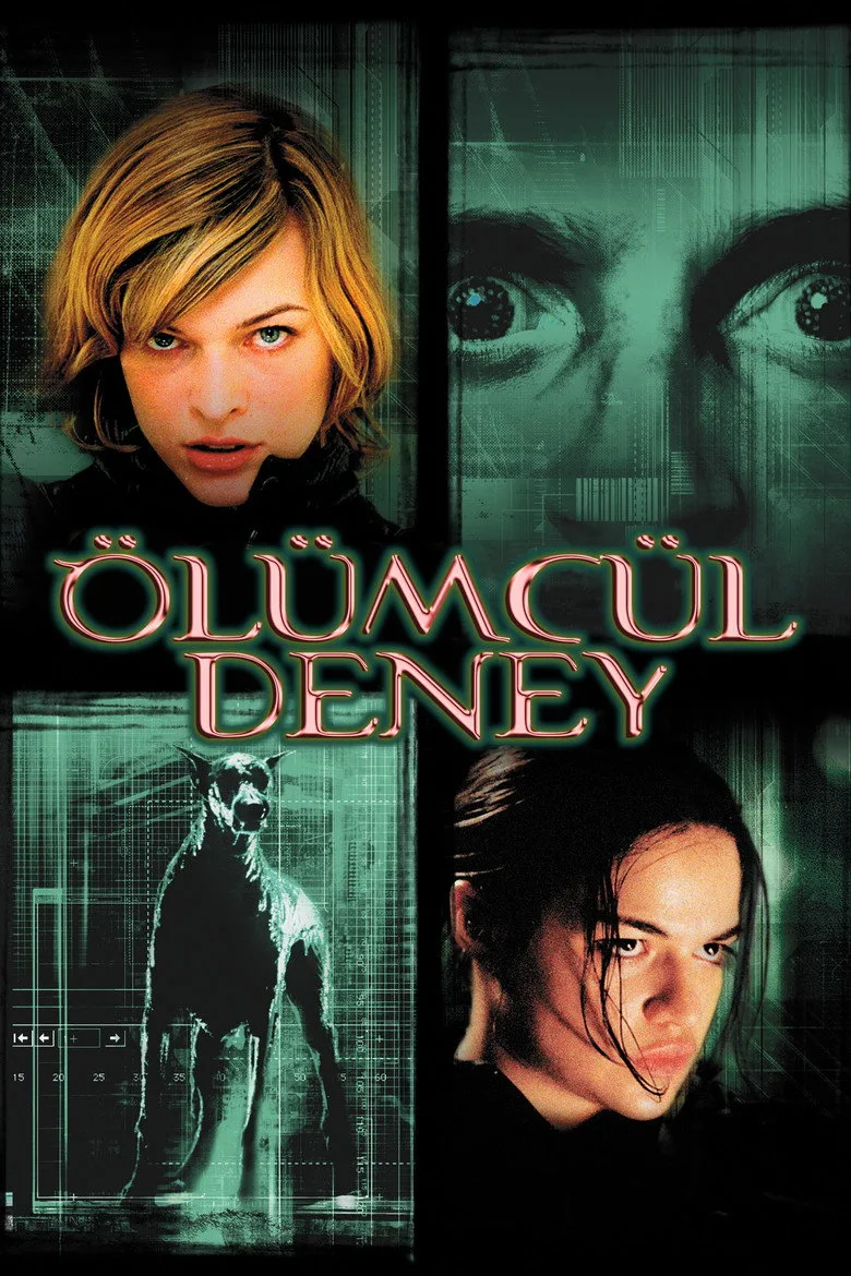 Credit poster
