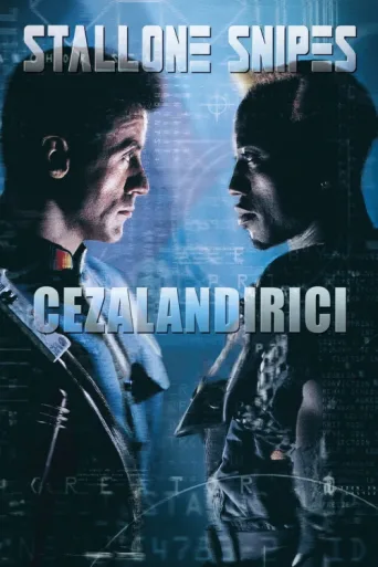 ملصق Cezalandırıcı