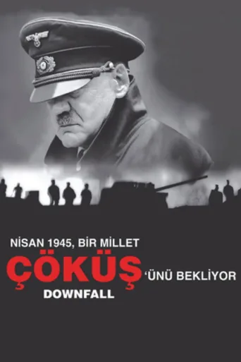 Póster de Çöküş