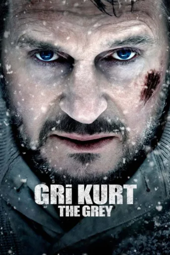 Постер Gri Kurt
