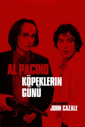 Poster for Köpeklerin Günü