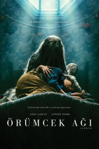 ملصق Örümcek Ağı