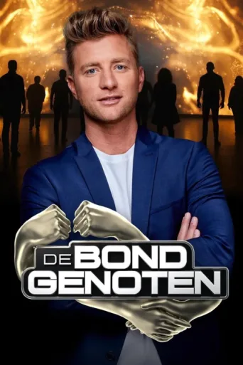 Постер De Bondgenoten