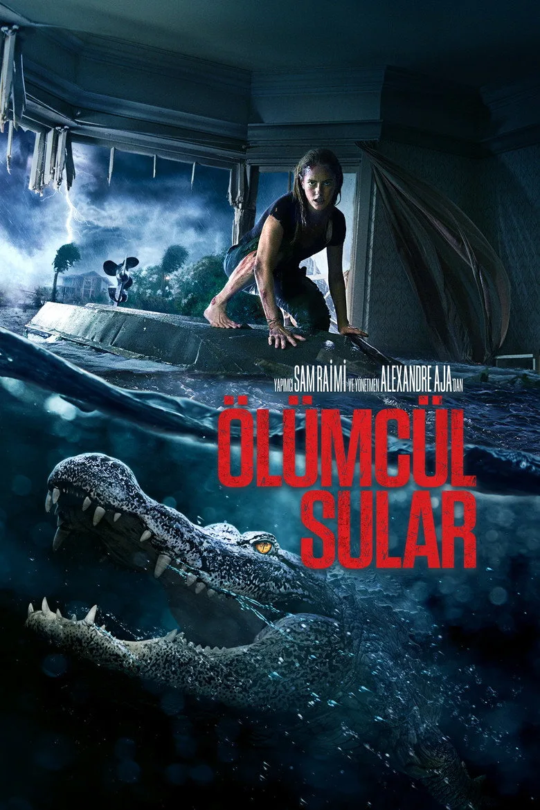 Credit poster