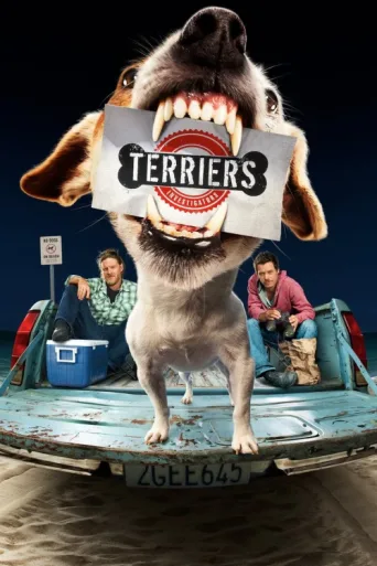 Terriers afişi