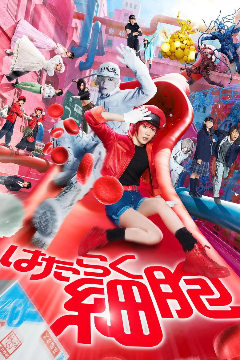 Credit poster