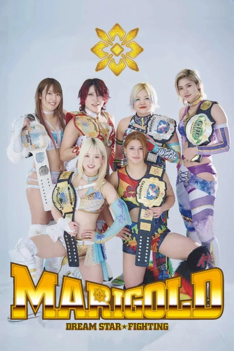 Dream Star★Fighting Marigold posteri