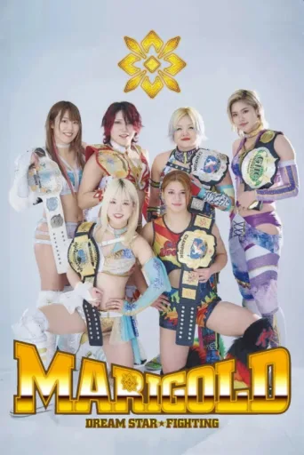 Постер Dream Star★Fighting Marigold