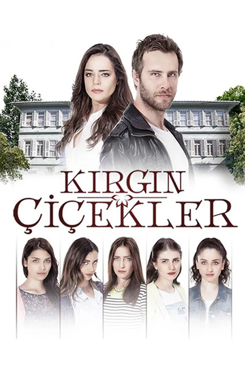 Kırgın Çiçekler poster