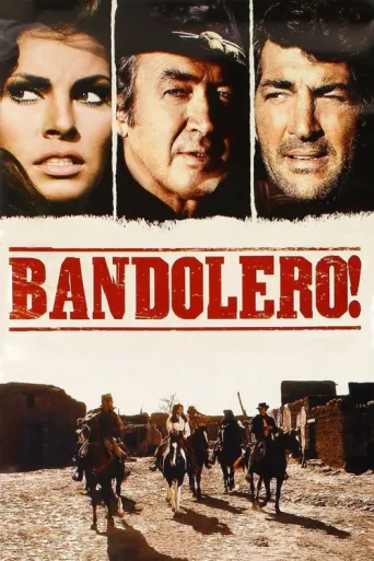 Bandolero! afişi