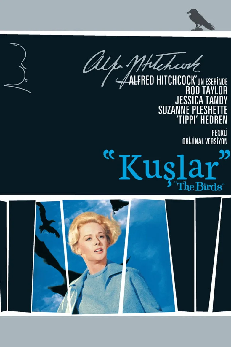 Credit poster