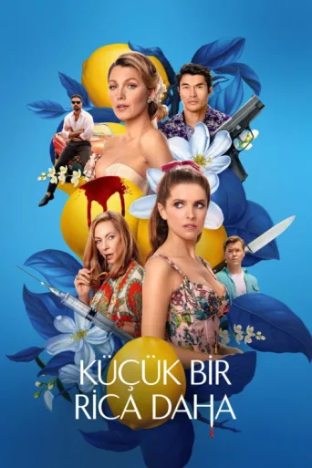 Постер Küçük Bir Rica Daha