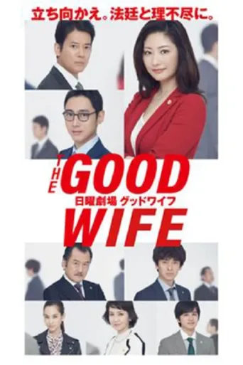 Постер The Good Wife