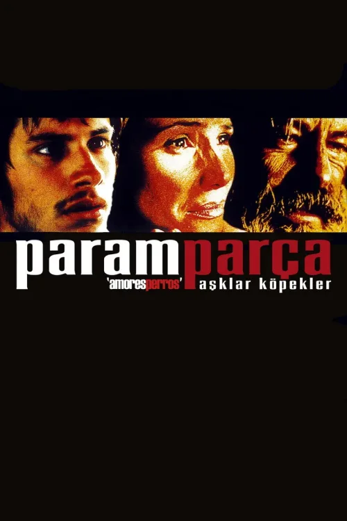 Amores perros