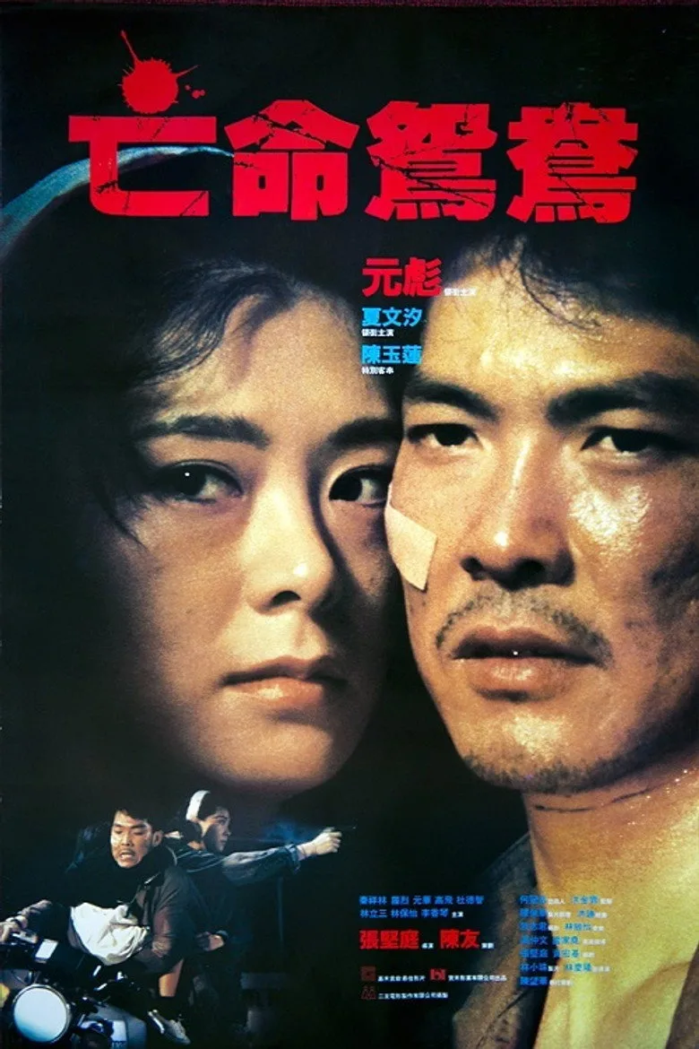 亡命鴛鴦 poster